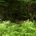 Armagost Cemetery 1